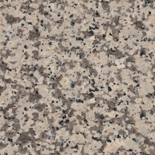 Thumbnail light fine wood